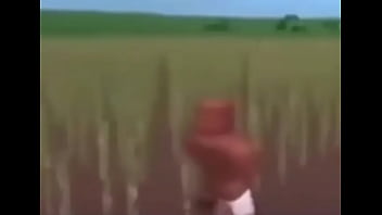 Negão safado na plantação com noventa