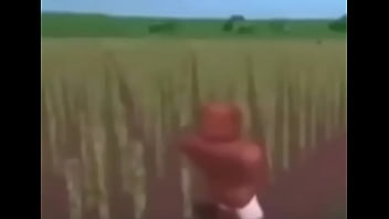 Negão safado na plantação com noventa