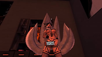 Vídeo de verificación