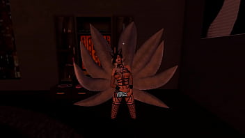 Vídeo de verificación