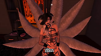 Vídeo de verificación