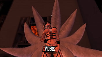 Vídeo de verificación