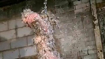 Asian bondage pornstar kumimonsters bizarre feather and tar domination and kinky