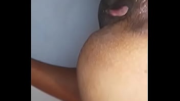 Perra en cuatro anal