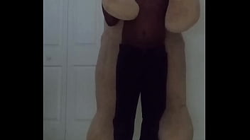 Taking turns stretching like my other scorpio zodiac animal from astrology a spider similar to stretching like a cancers zodiac animal a crab with toy bear 1