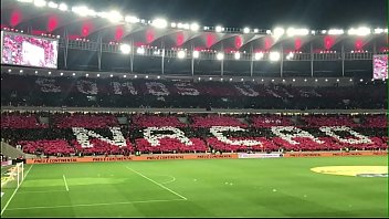 Mulata ninfeta natasha medeiros faz sexo anal com flamenguista dotado e ganha gozada em cima do cu