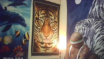 Pussyfucking xxx sex