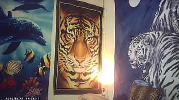 Pussyfucking xxx sex