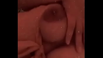 Mensis como la pongo