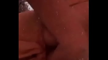 Mensis como la pongo