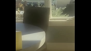 *laughs in evil vegan* she said “ but it had cheese” um vegans have vegan cheese that taste like real cheese lmao