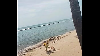 Vídeo de verificación