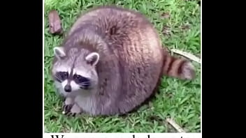 E l e c t r i c a v e n u e j p e g