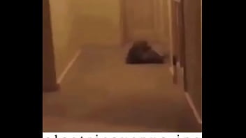 E l e c t r i c a v e n u e j p e g