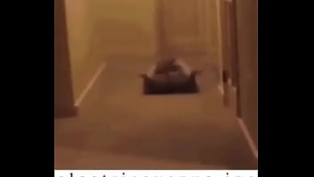 E l e c t r i c a v e n u e j p e g