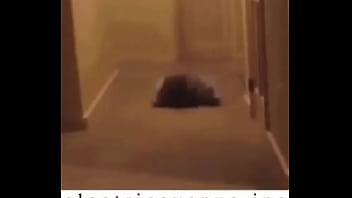 E l e c t r i c a v e n u e j p e g