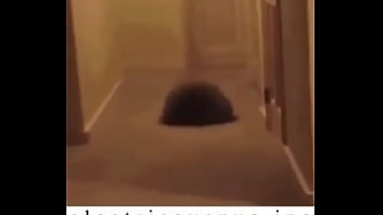 E l e c t r i c a v e n u e j p e g