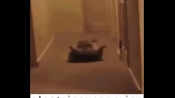 E l e c t r i c a v e n u e j p e g