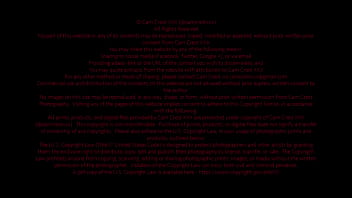 Nonton Bow Down To Your Mistress thumbnail