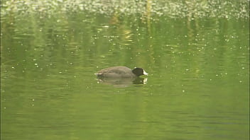 Horny milf hooks a hung fisherman's throbbing rod