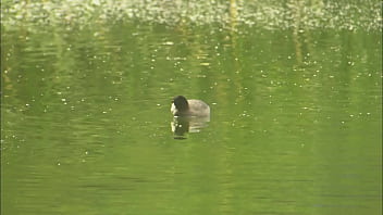 Horny milf hooks a hung fisherman's throbbing rod