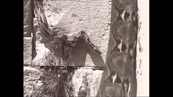 Sublimi amplessi film completo