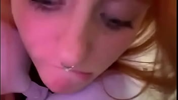 Pixie on the airplane flying to me #pee