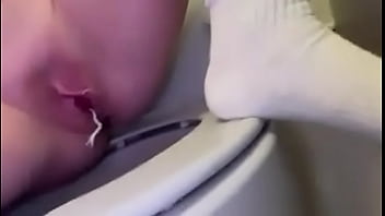 Pixie on the airplane flying to me #pee