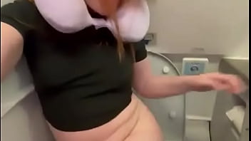Pixie on the airplane flying to me #pee