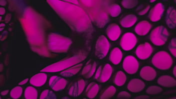 Girl on girl foot fetish and pussy worship