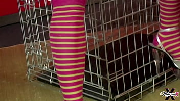 Blowing scott rhodes' dick to get out of the cage submissive maxine