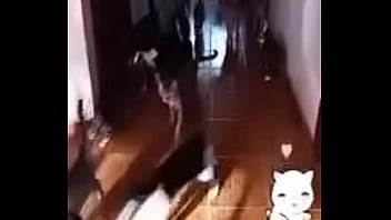 Prima safada doida porsexo