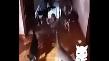 Prima safada doida porsexo