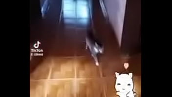 Prima safada doida porsexo