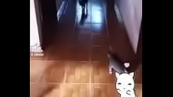 Prima safada doida porsexo