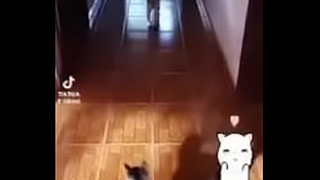 Prima safada doida porsexo