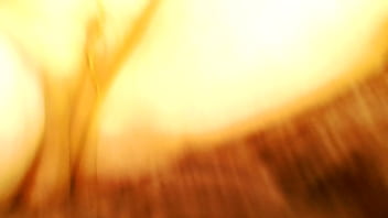 1172 i wore these pantyhose around the clock then masturbated in them before mailing away to chris