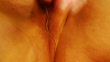 1172 i wore these pantyhose around the clock then masturbated in them before mailing away to chris