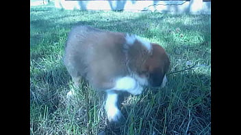 Video bokep part 452676