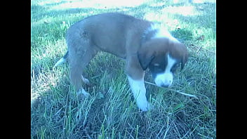 Video bokep part 452676