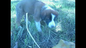 Video bokep part 452676