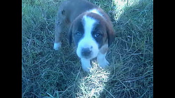 Video bokep part 452676