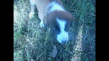 Video bokep part 452676