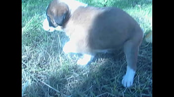 Video bokep part 452676