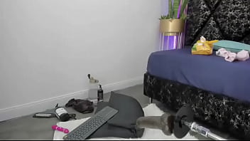 Fat ass latina creamy anal machine fucking