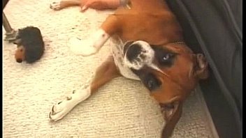 Gauge please 11 extremely rare for collectors clip1