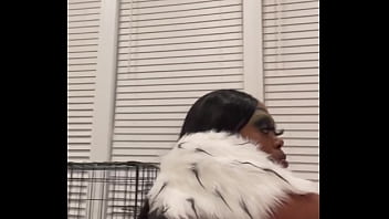 Dog tamer gets tamed and came in