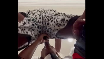 Dog tamer gets tamed and came in