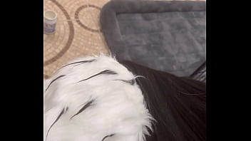 Dog tamer gets tamed and came in Dog tamer gets tamed and came in