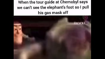 When they don’t let you be seeing the elephants foot fr fr